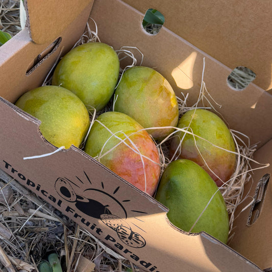 Box of Mango Kensington