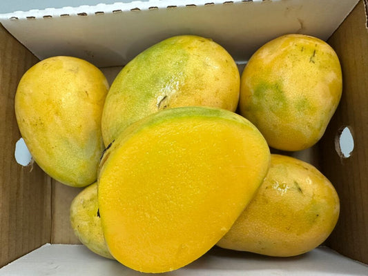 Mingolo Mango Dominican Republic