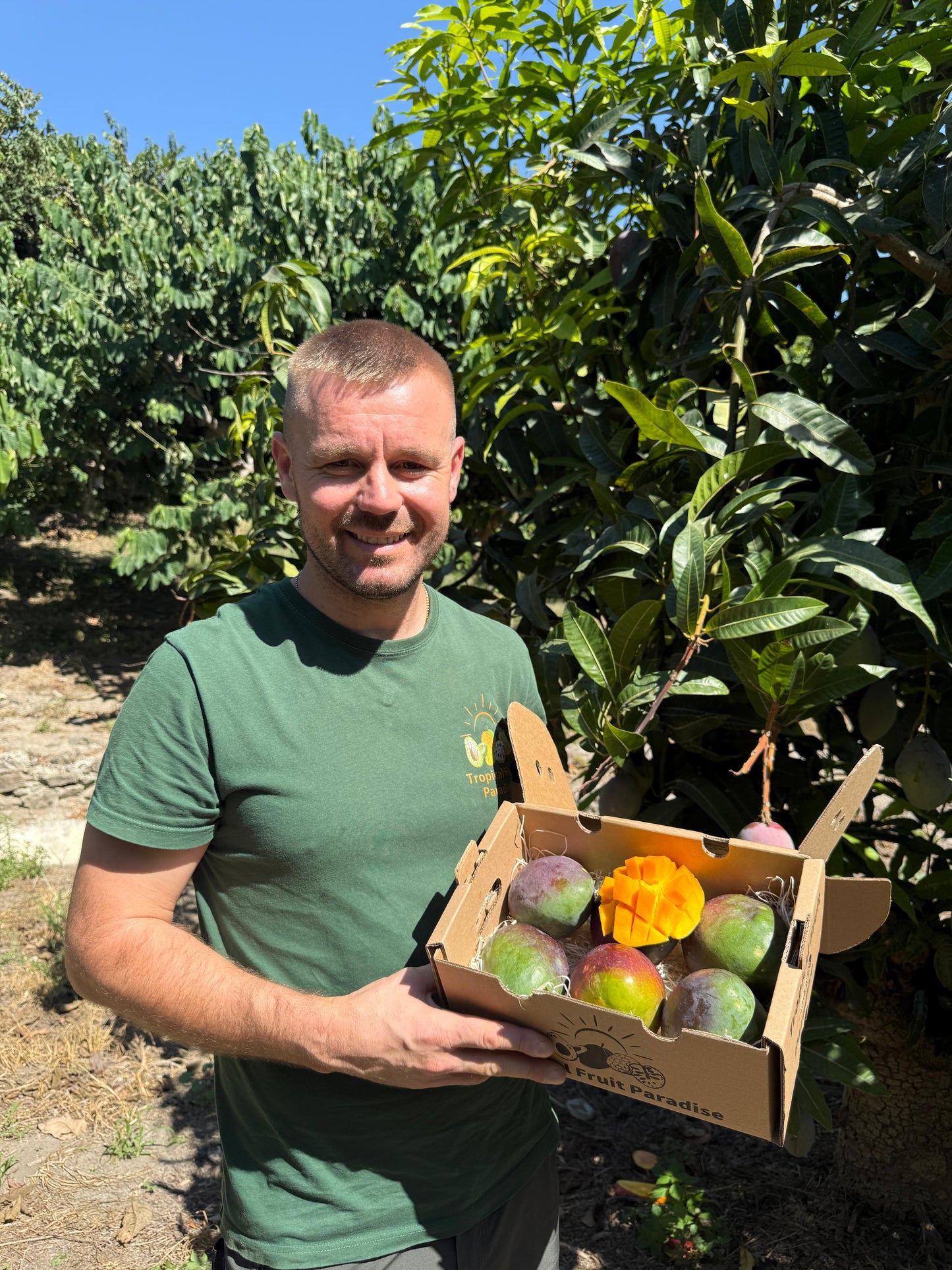 Mango Sensacion