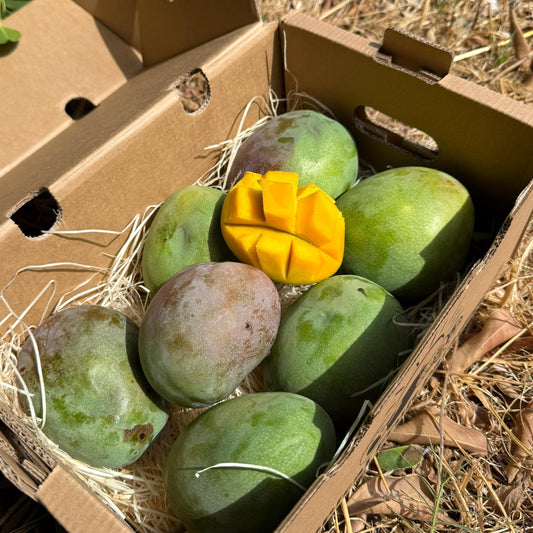 Box of green mangoes on a natural background