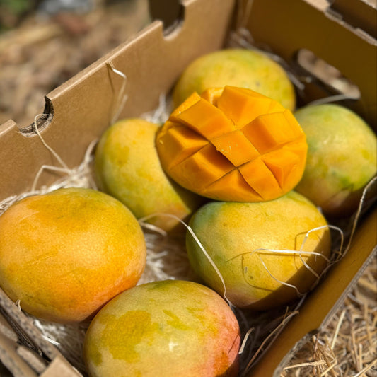 Box of mangoes with one cut open on a natural background