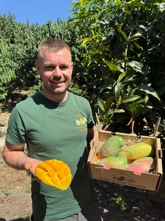 Mango Valencia Pride