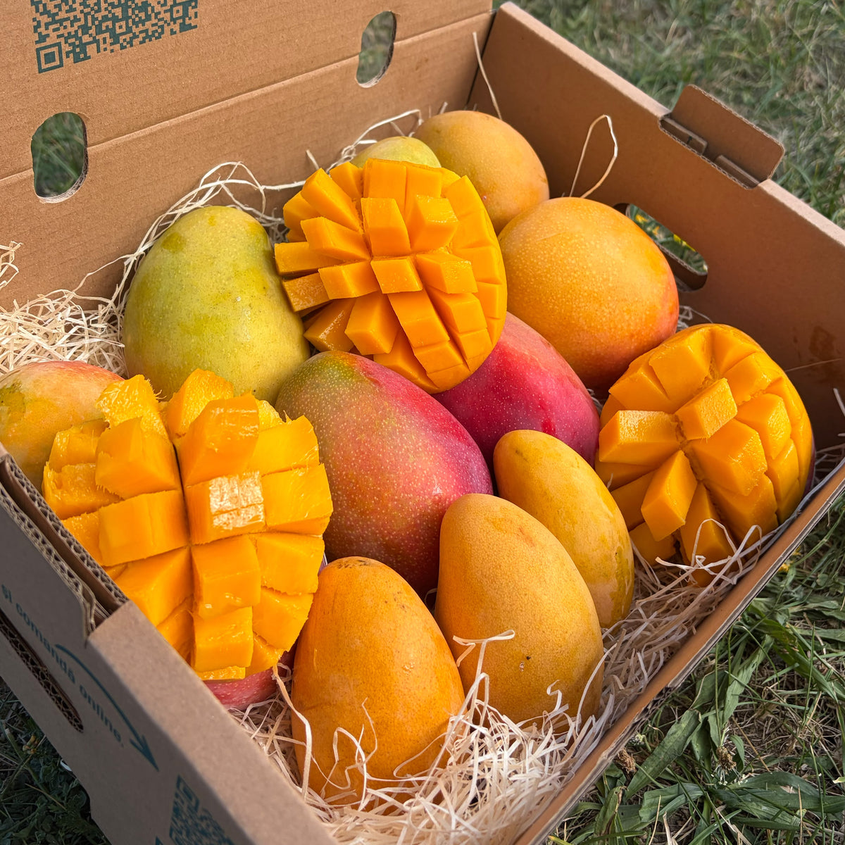 Mango Mix