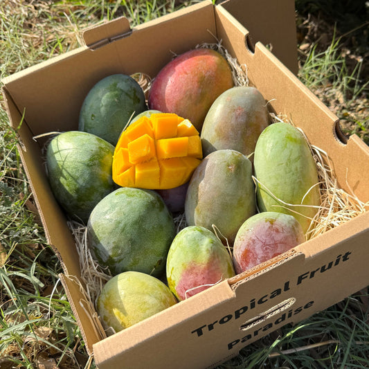 Box with mangoes