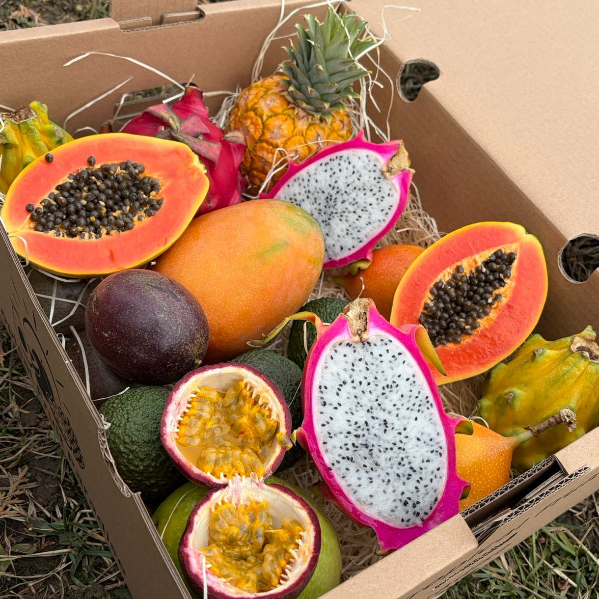 Toate Produsele – TropicalFruitParadise