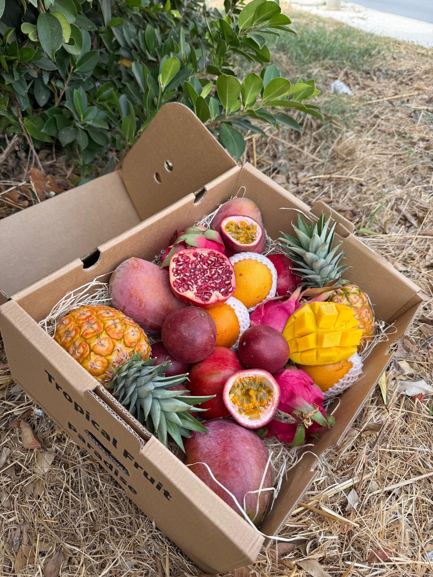 Mix Tropical Customizabil
