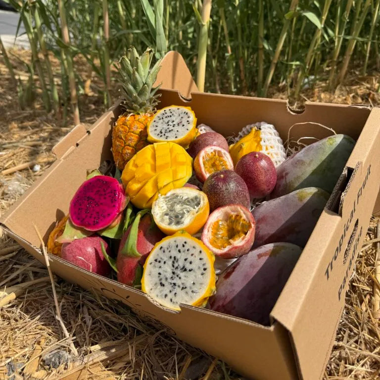 Box of assorted tropical fruits including dragon fruit, mangoes, and a pineapple in a field.