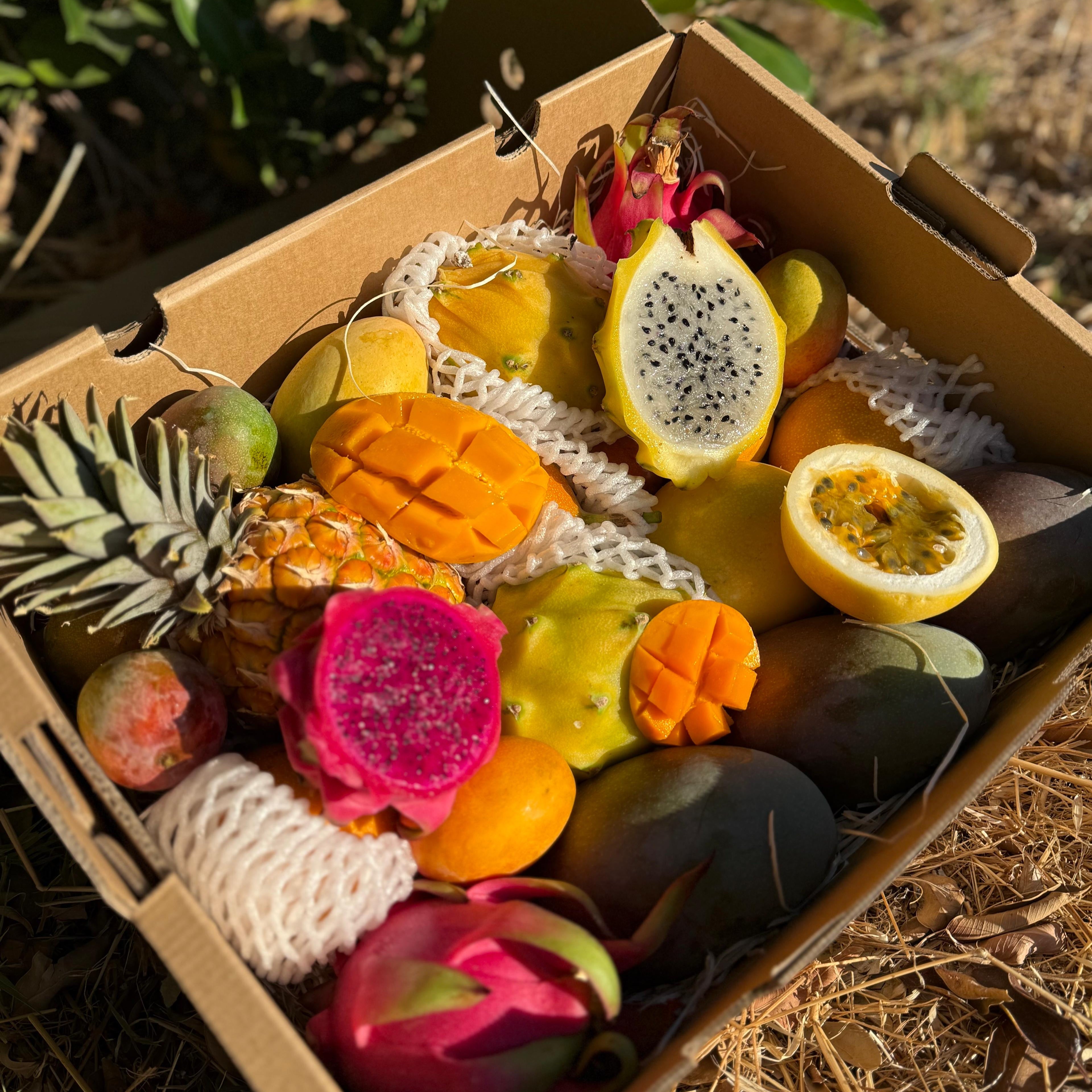 Toate Produsele – TropicalFruitParadise