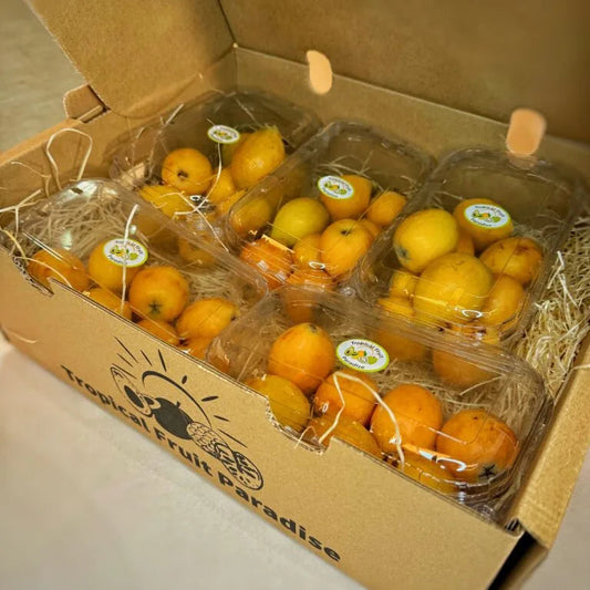 Loquats