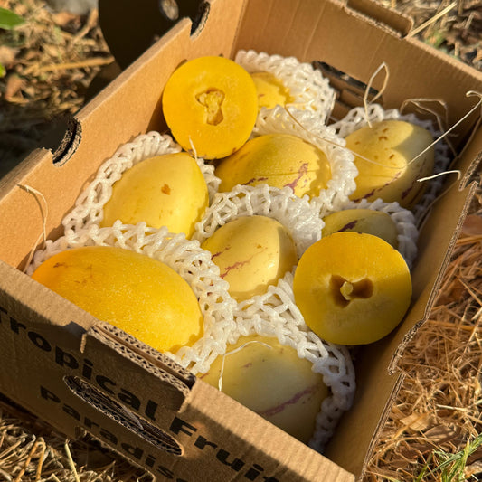 Pera Melon Ecuador