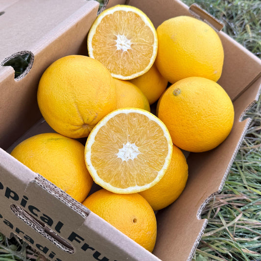 Box of oranges with some cut open, showing juicy interior.