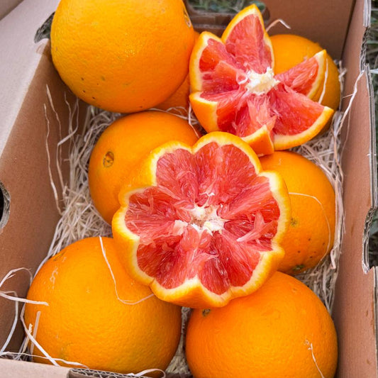 Portocale Roșii Bio 