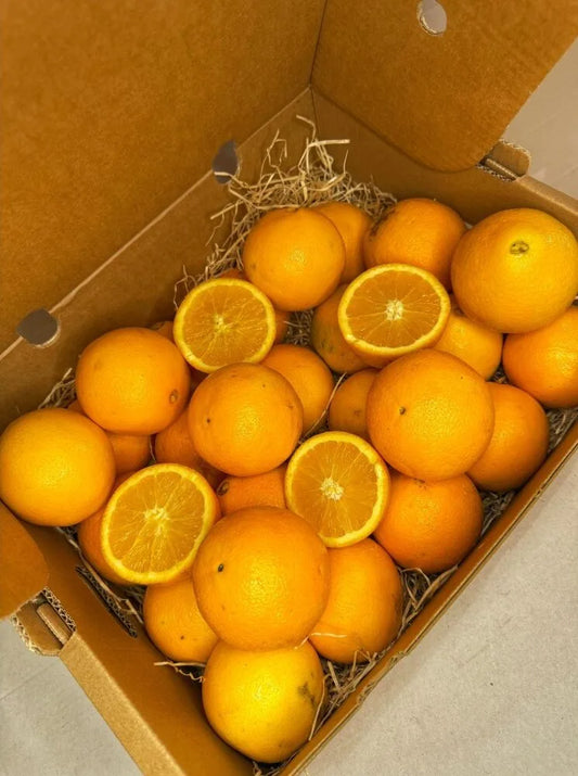 Oranges BIO