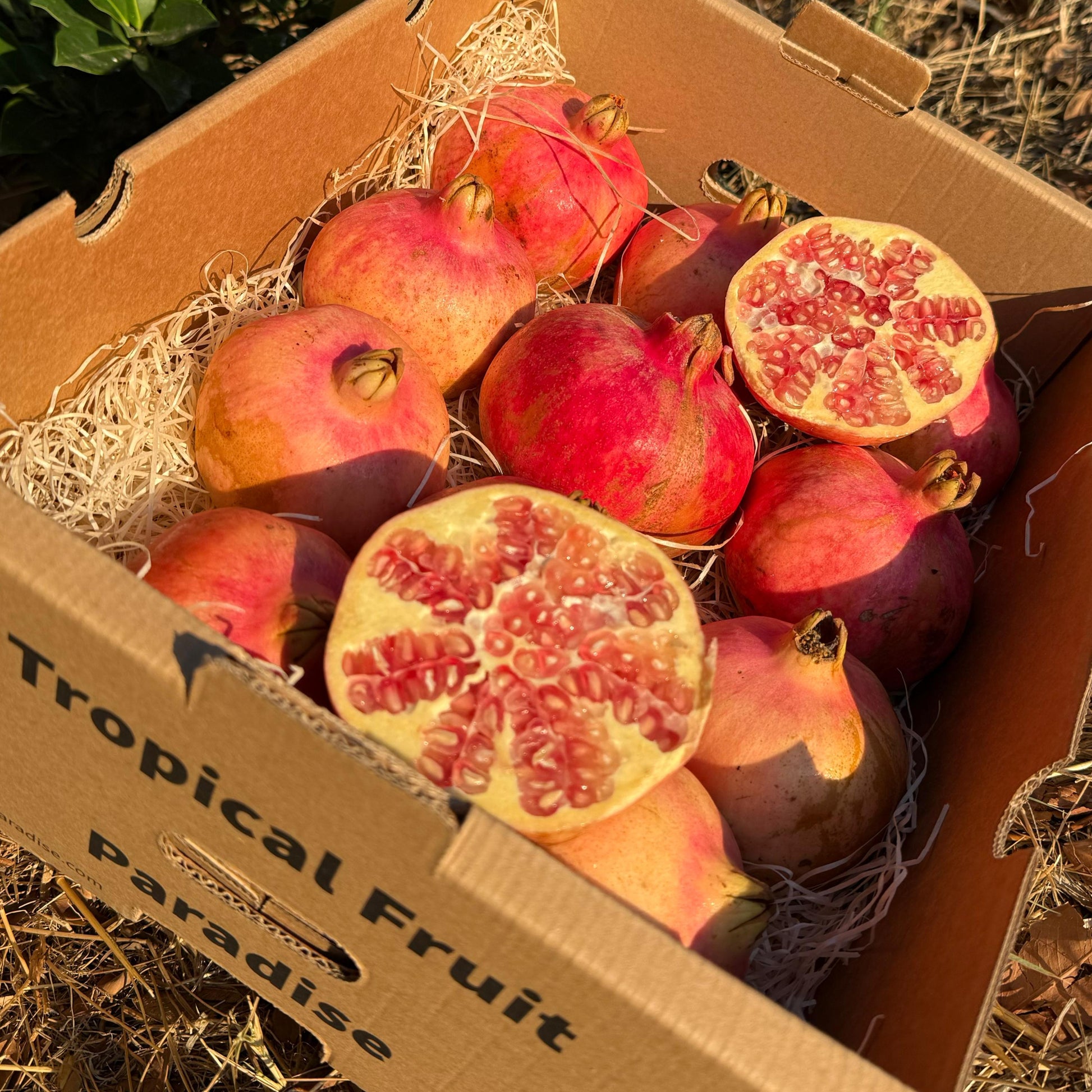 Box of pomegranates labeled 'Tropical Fruit Paradise' on a grassy ground.