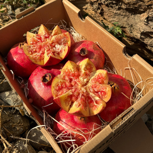 Pomegranate mollar in a cartoon box