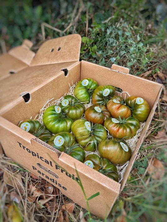 Raff Tomatoes BIO
