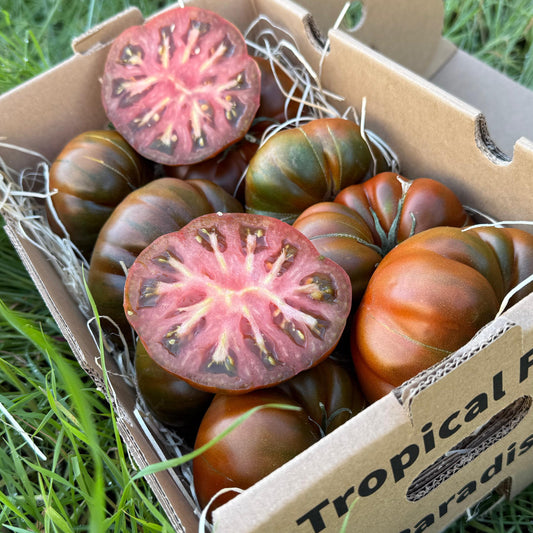 Tomato Blue Raff Fruits – TropicalFruitParadise