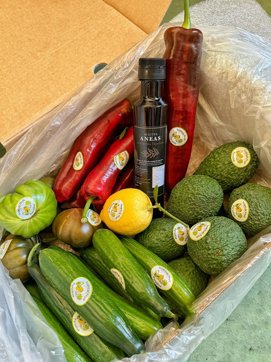 Mediterranean Salad with Olive Oil