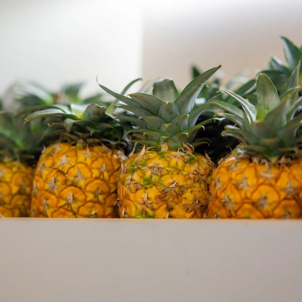 Tropical Fruit Paradise — Suceava