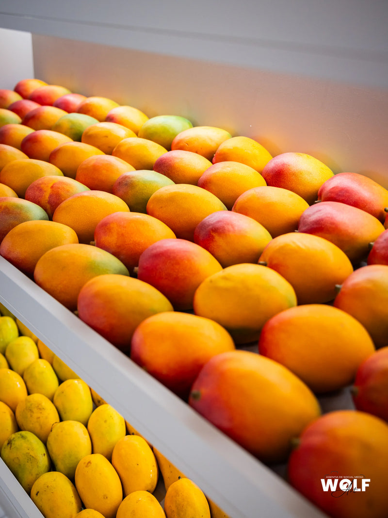 Tropical Fruit Paradise — Suceava