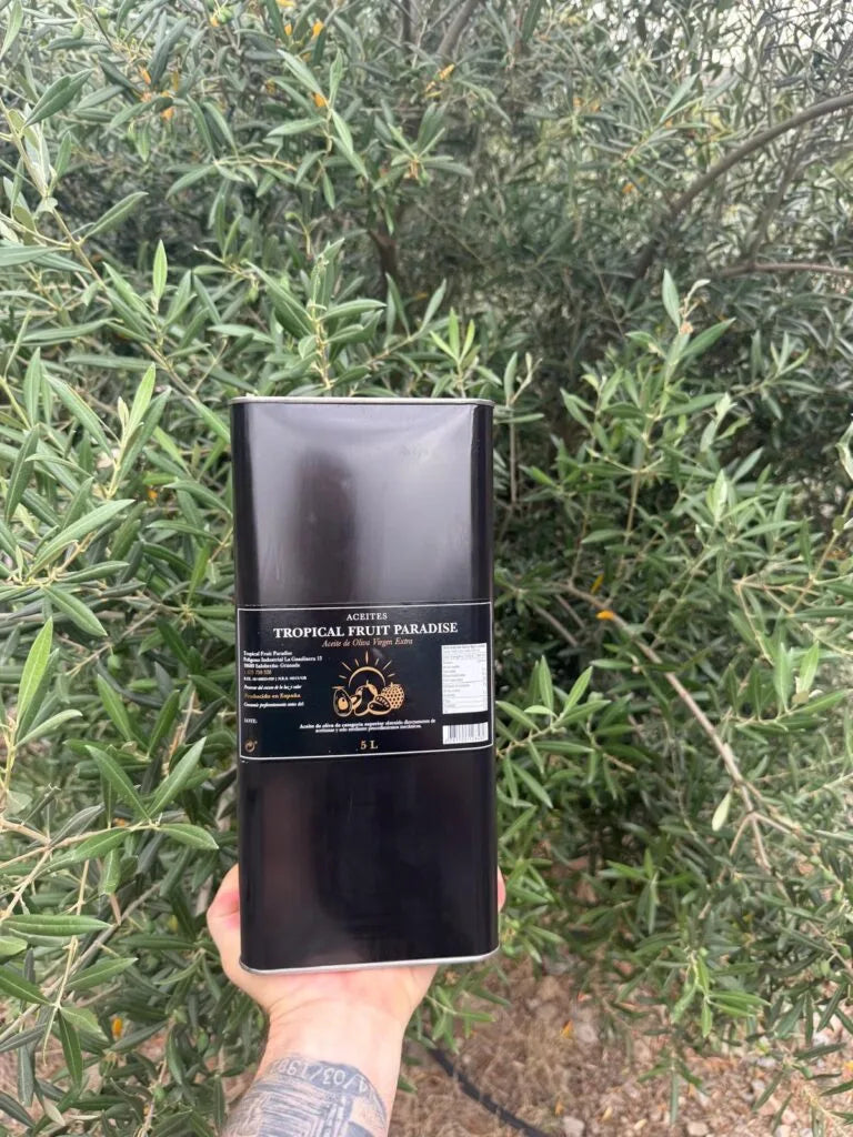 Olive Oil