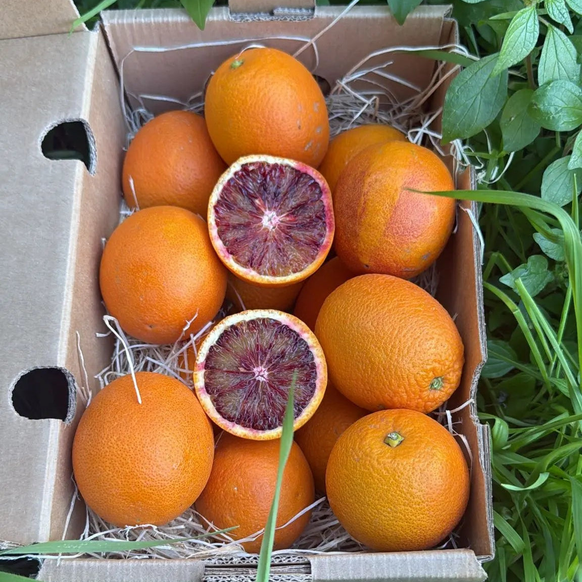 Organic Sanguinelli blood oranges, sliced to show deep red pulp, fresh 2kg delivery box by Tropical Fruit Paradise.