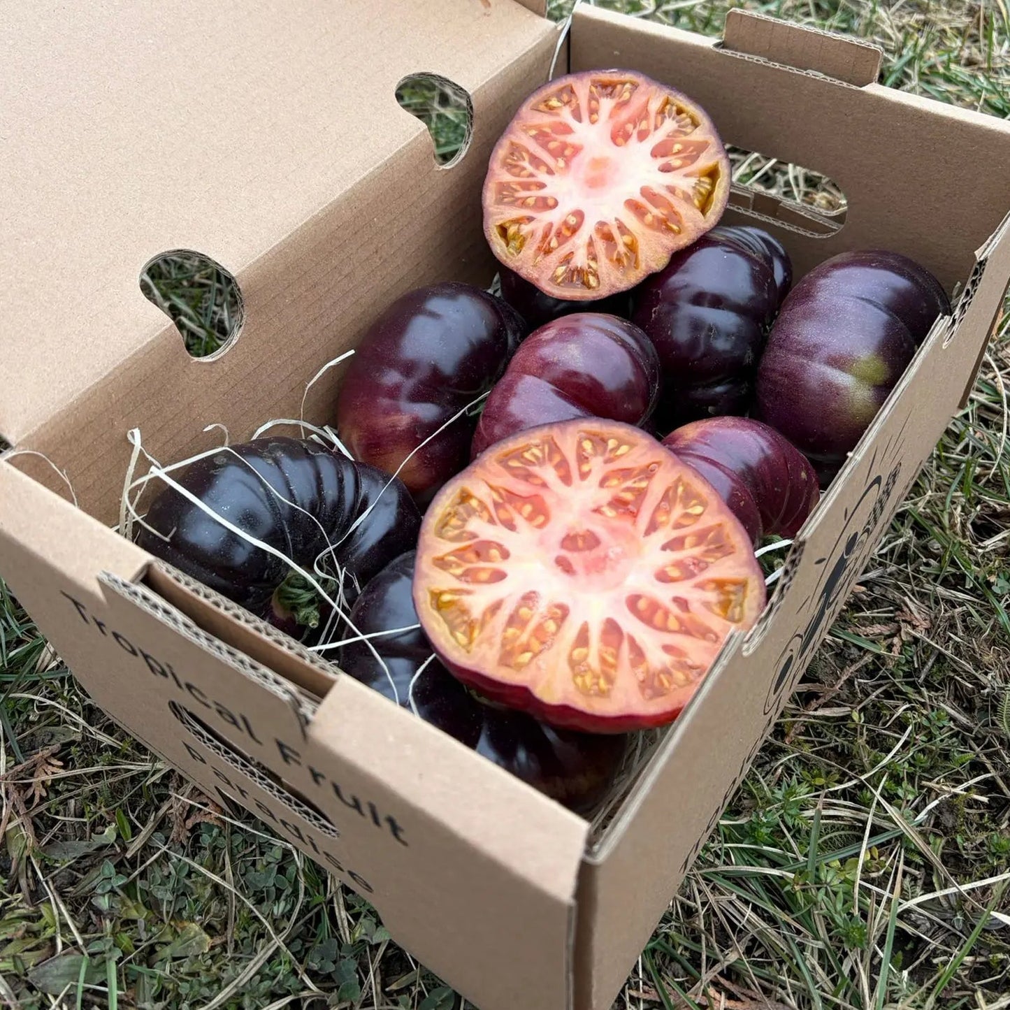 Dark purple Azul heirloom tomatoes, sliced to show beautiful pink-red interior, fresh gourmet delivery box by Tropical Fruit Paradise.