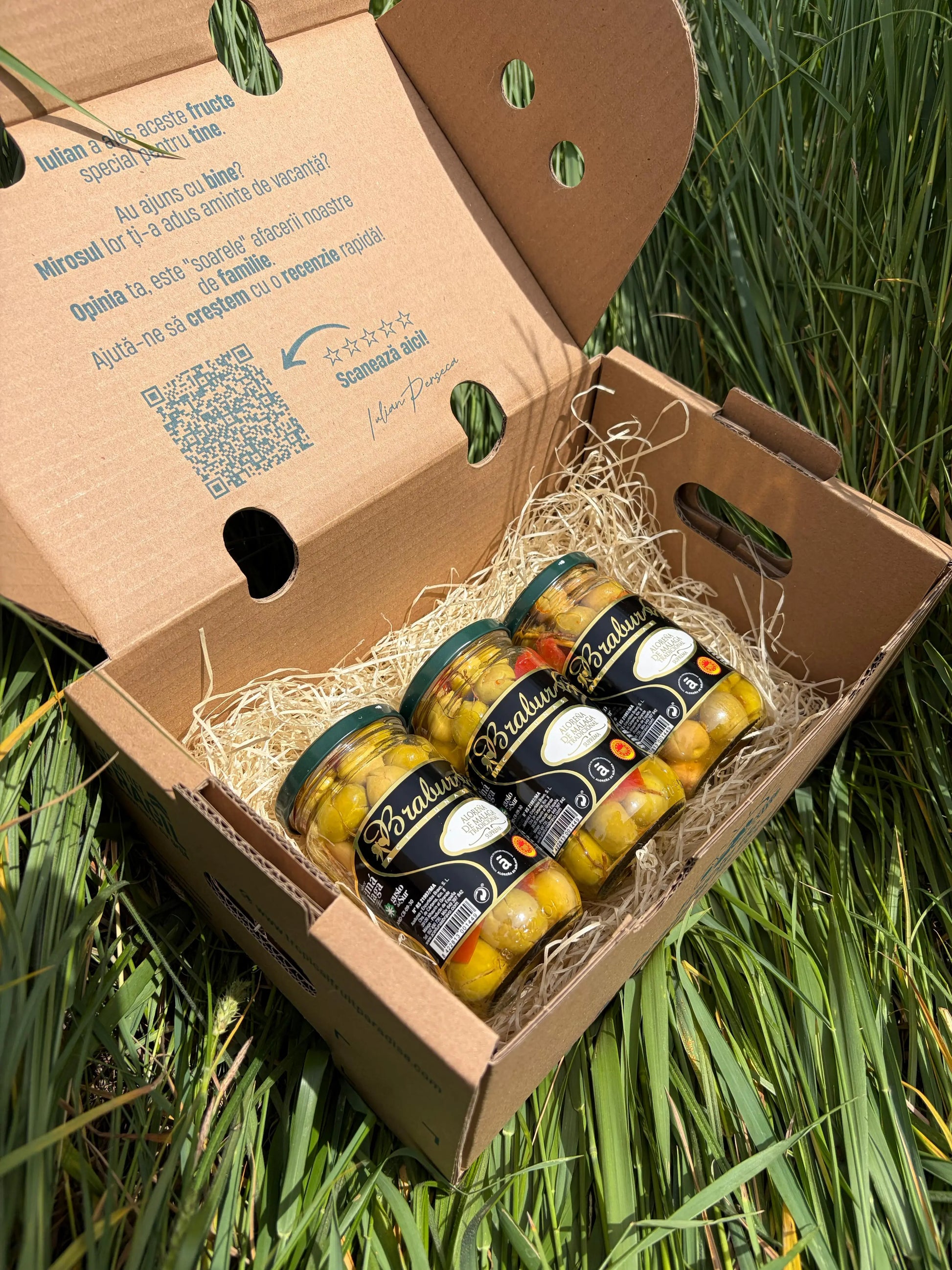 Three glass jars of premium Braburs Aceitunas Aloreña de Málaga Tradicional olives, arranged on a straw bed inside an open cardboard delivery box on green grass.