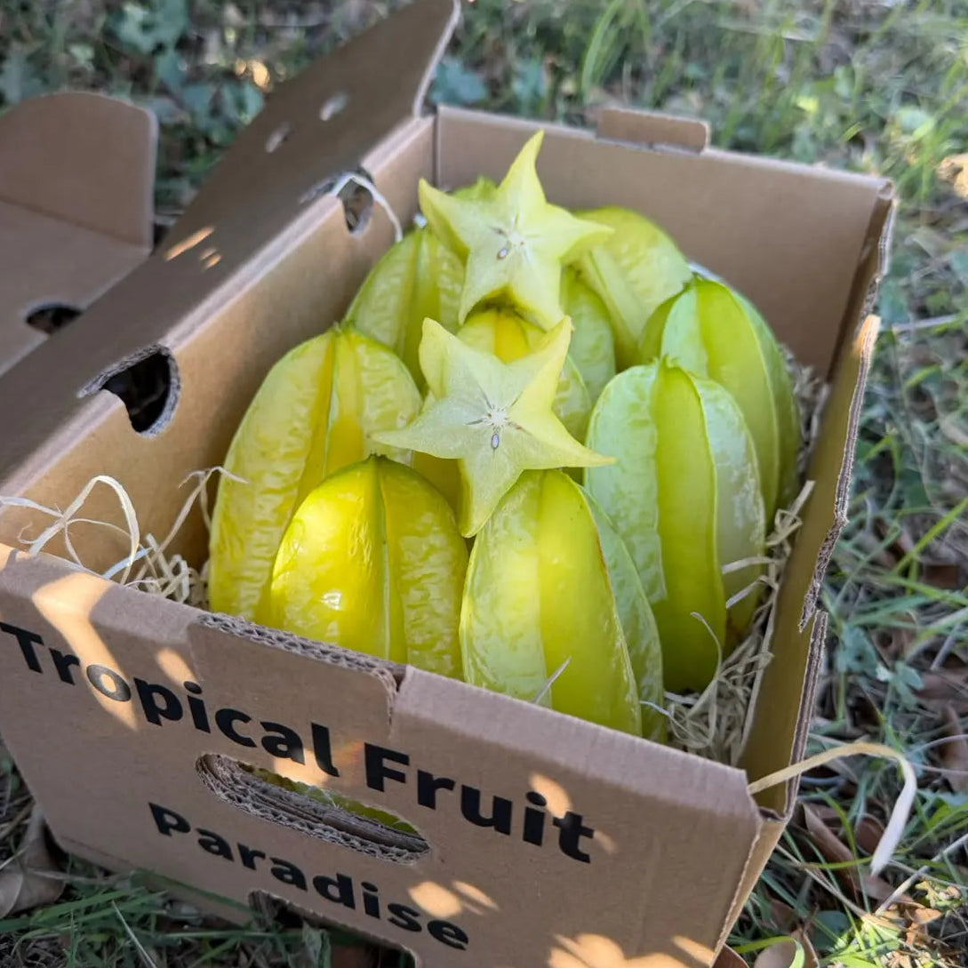 BIO carambola (starfruit), yellow-green with five ribs, in a 1 kg Tropical Fruit Paradise box, two slices cut into stars