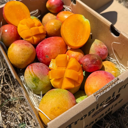 Branded Tropical Fruit Paradise delivery box filled with fresh small Baby Zill mangoes, featuring sliced halves and hedgehog cuts showing orange pulp, outdoors.
