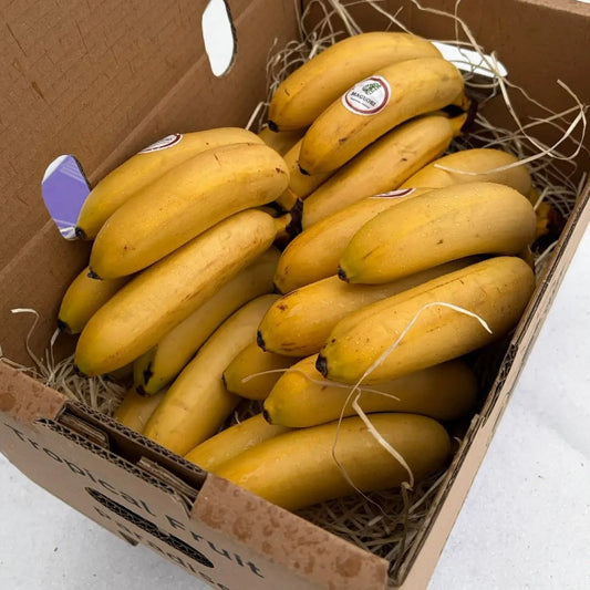 Fresh Bananito baby bananas in a 2kg delivery box by Tropical Fruit Paradise