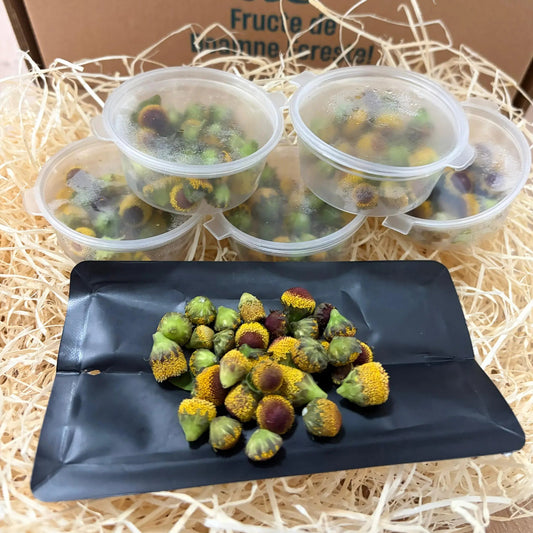Branded delivery box with fresh electric flowers (buzz buttons) displayed on an open black tray and in plastic containers over protective straw.
