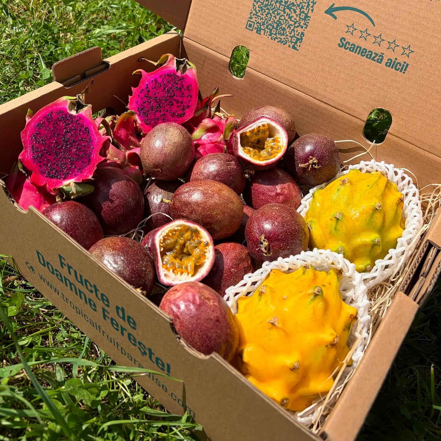 Open cardboard delivery box on grass filled with fresh exotic fruit mix: halved red dragon fruit with vivid magenta pulp, yellow dragon fruit in protective mesh, and juicy passion fruit.