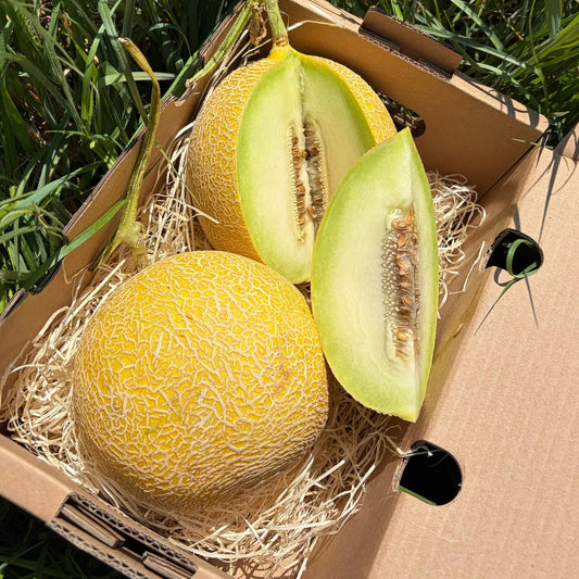 Fresh Galia melon whole and sliced, showing the light green juicy flesh and netted rind, resting on straw inside a delivery box in the grass.