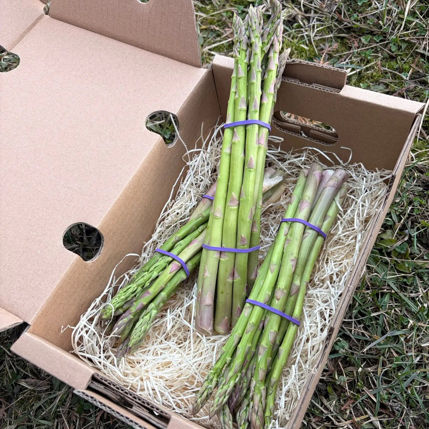 Fresh green asparagus bundles in a delivery box with protective straw, premium vegetables by Tropical Fruit Paradise.