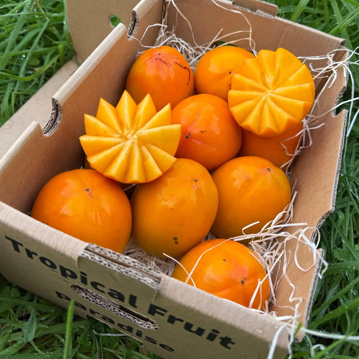 Ripe Kaki Persimon fruits with decorative star-shaped cut, delivered in a Tropical Fruit Paradise box on green grass.