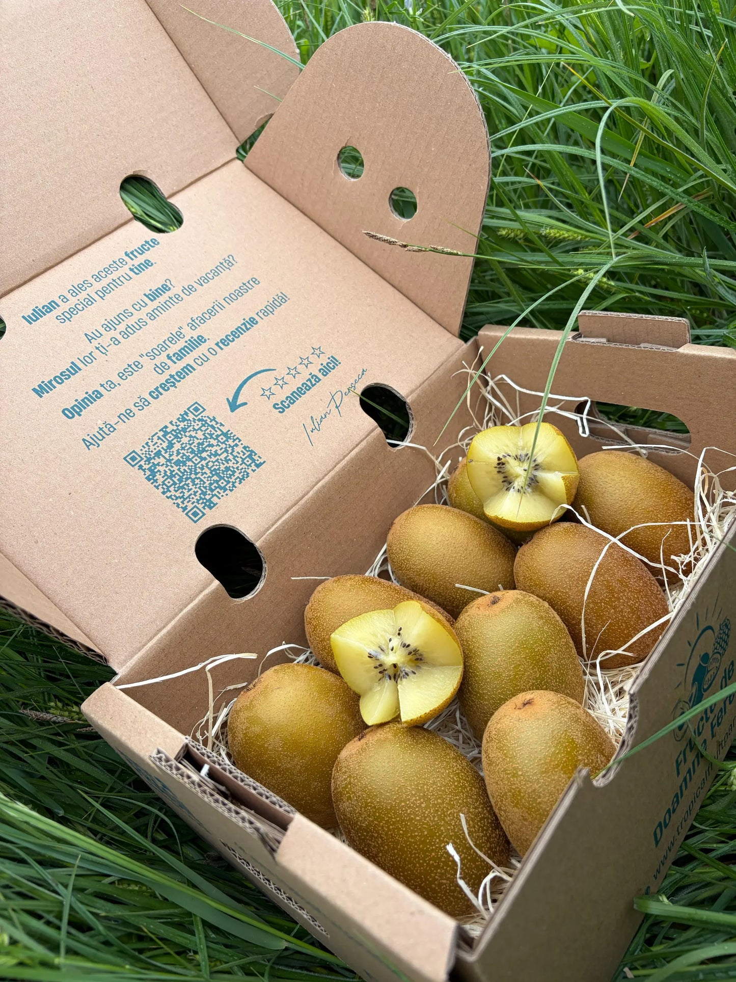 Fresh golden kiwi fruits, whole and star-cut to reveal the sweet yellow flesh and tiny seeds, resting on straw inside a cardboard delivery box on green grass.