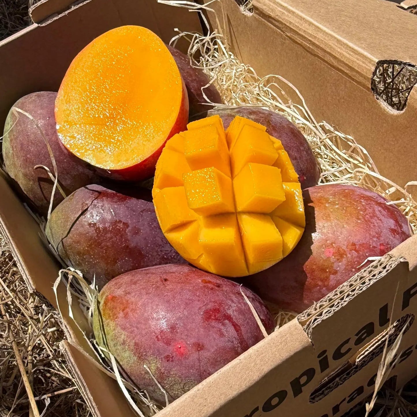 Fresh Zill mango, small ovate shape with a pointed tip, red blush over golden-yellow skin, halved showing deep yellow flesh, in Tropical Fruit Paradise delivery box