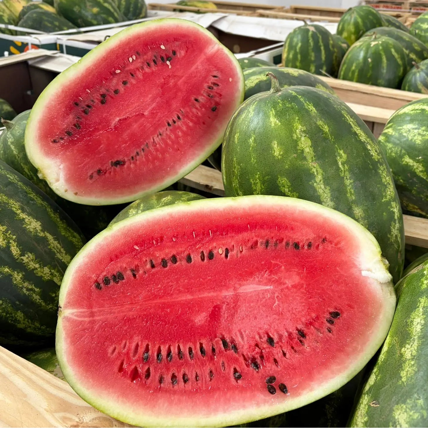 Freshly sliced Mauritania watermelon in a branded Tropical Fruit Paradise box, showing juicy red flesh against a snowy backdrop.