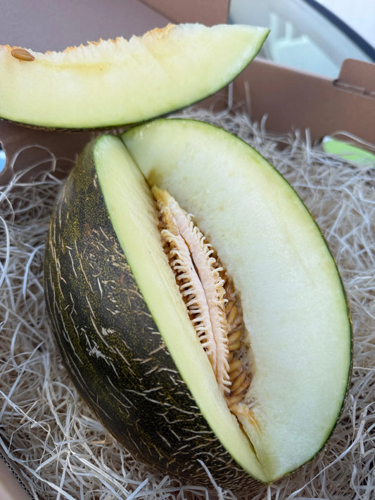 Fresh Piel de Sapo melon sliced open, showing juicy white flesh in a delivery box on a snowy background.
