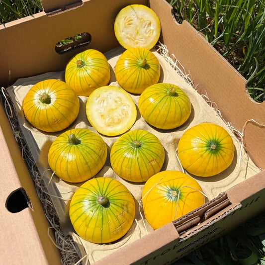 Mini yellow pumpkins with green stripes, whole and halved, neatly arranged in a cardboard delivery box on green grass in bright sunlight.