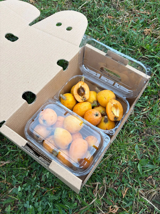 Fresh Nisperos loquats in transparent clamshell containers, with a sliced fruit showing the brown pit, placed in a delivery box on green grass.