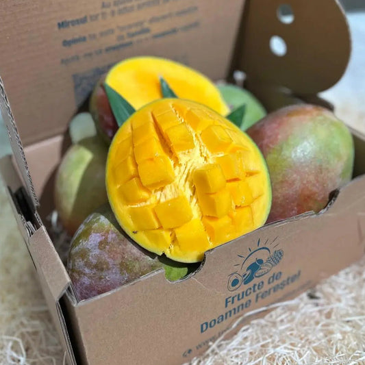 Cardboard delivery box filled with fresh organic Mango Rosa on straw, featuring a hedgehog-cut half showing creamy golden-yellow pulp.