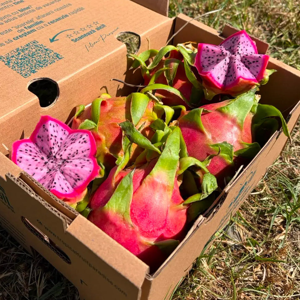 Fresh pink dragon fruit, vivid magenta skin with green-tipped scales, halved showing white flesh speckled with black seeds, in Tropical Fruit Paradise delivery box