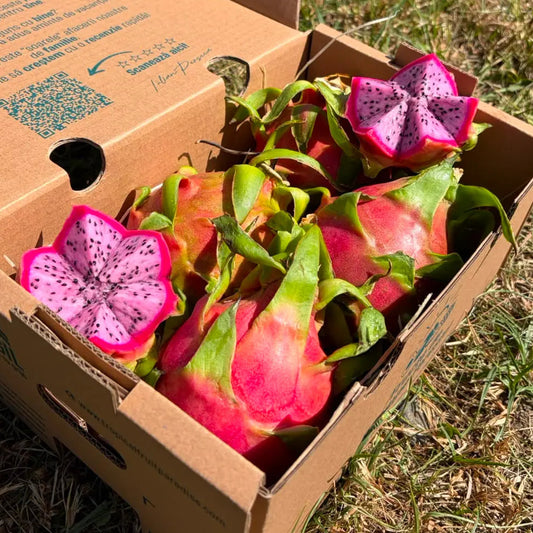 Fresh pink dragon fruit, vivid magenta skin with green-tipped scales, halved showing white flesh speckled with black seeds, in Tropical Fruit Paradise delivery box