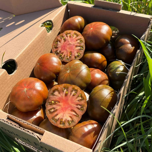 Dark red-brown Primora tomatoes, whole and sliced to show the dense interior and green seeds, inside a delivery box on green grass.