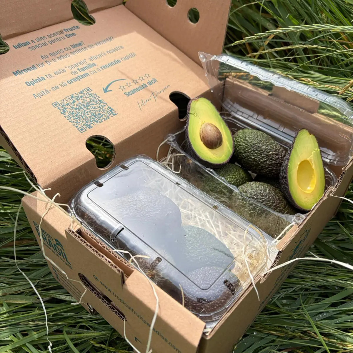 Fresh ready to eat Hass avocados with a halved creamy green fruit showing the pit, arranged in plastic punnets on a straw bed inside an open cardboard delivery box on grass.
