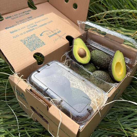 Fresh ready to eat Hass avocados with a halved creamy green fruit showing the pit, arranged in plastic punnets on a straw bed inside an open cardboard delivery box on grass.