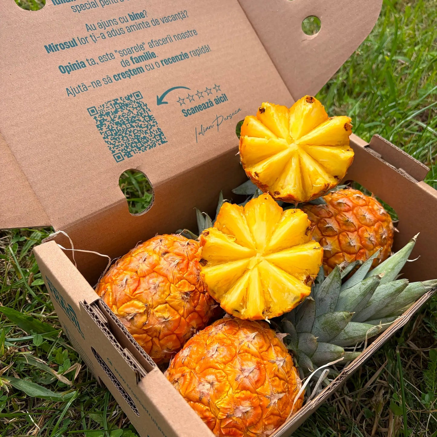 Open cardboard delivery box filled with golden baby pineapples on straw, featuring two star-carved peeled fruits on green grass.