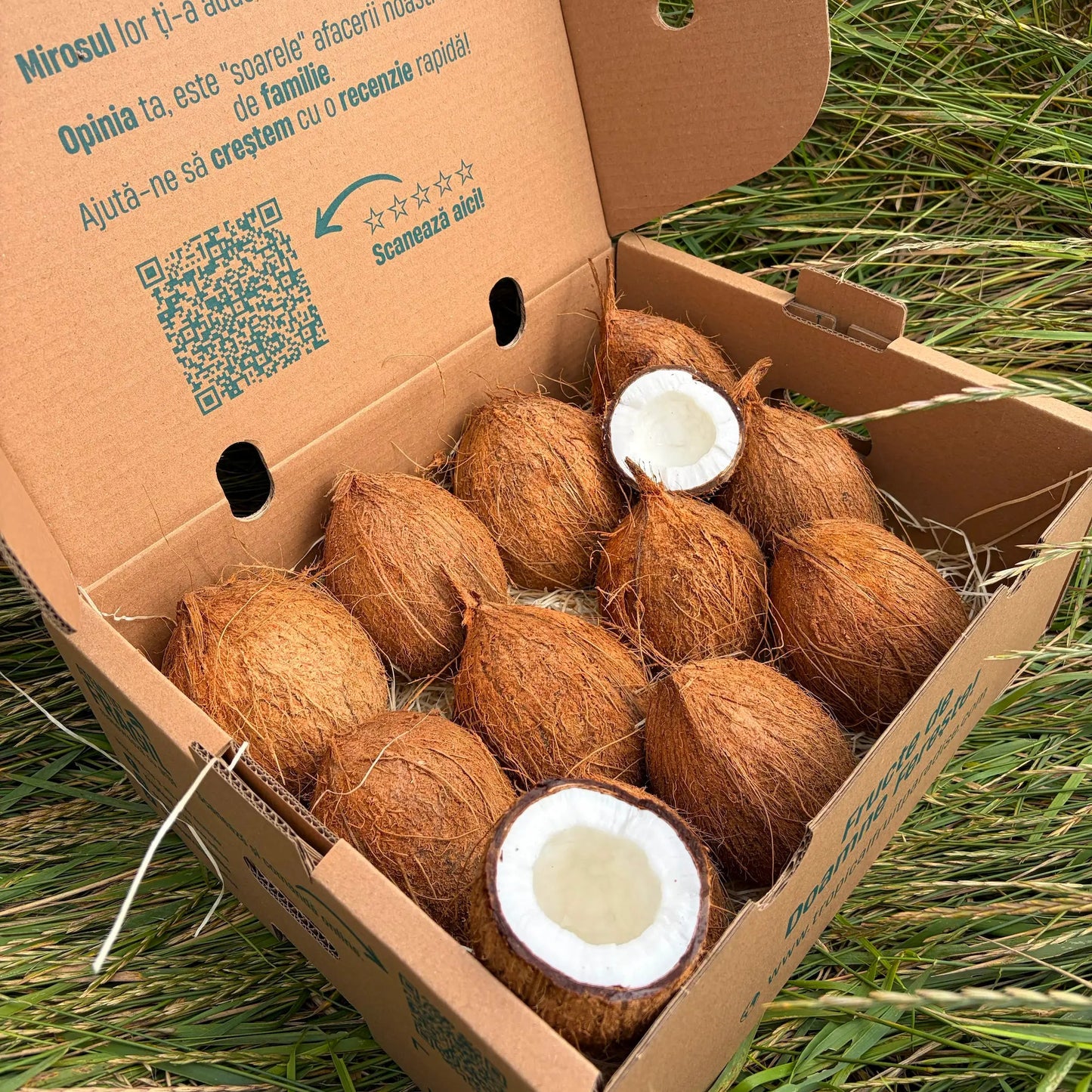 Fresh whole brown fibrous coconuts and two open halves showing the white inner meat, arranged on a straw bed inside a cardboard delivery box on green grass.